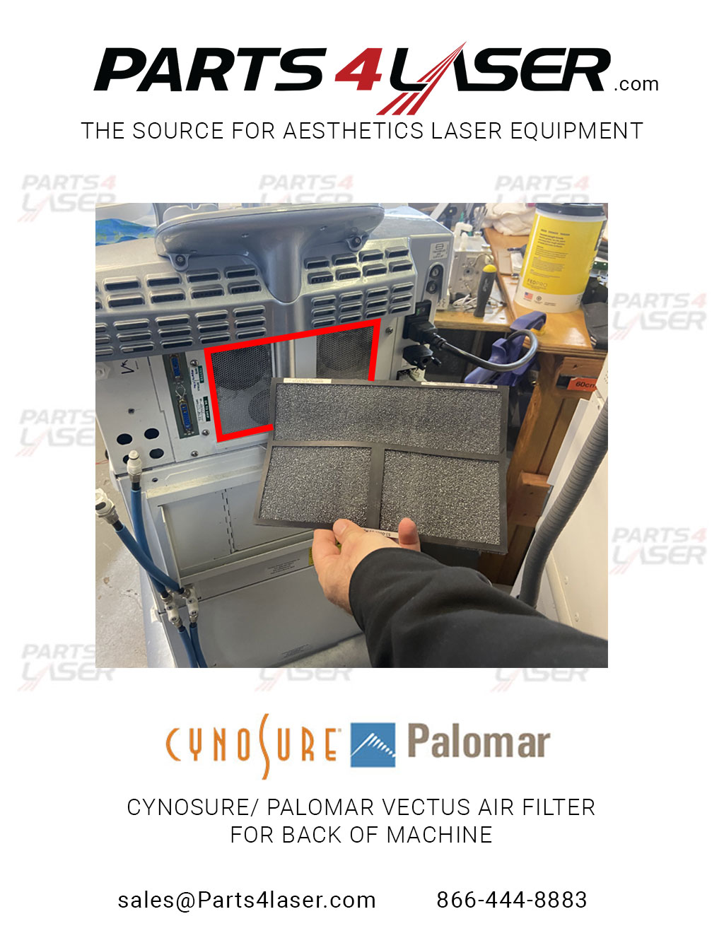 PALOMAR VECTUS AIR FILTER BACK, PAFI2943 - Image 3