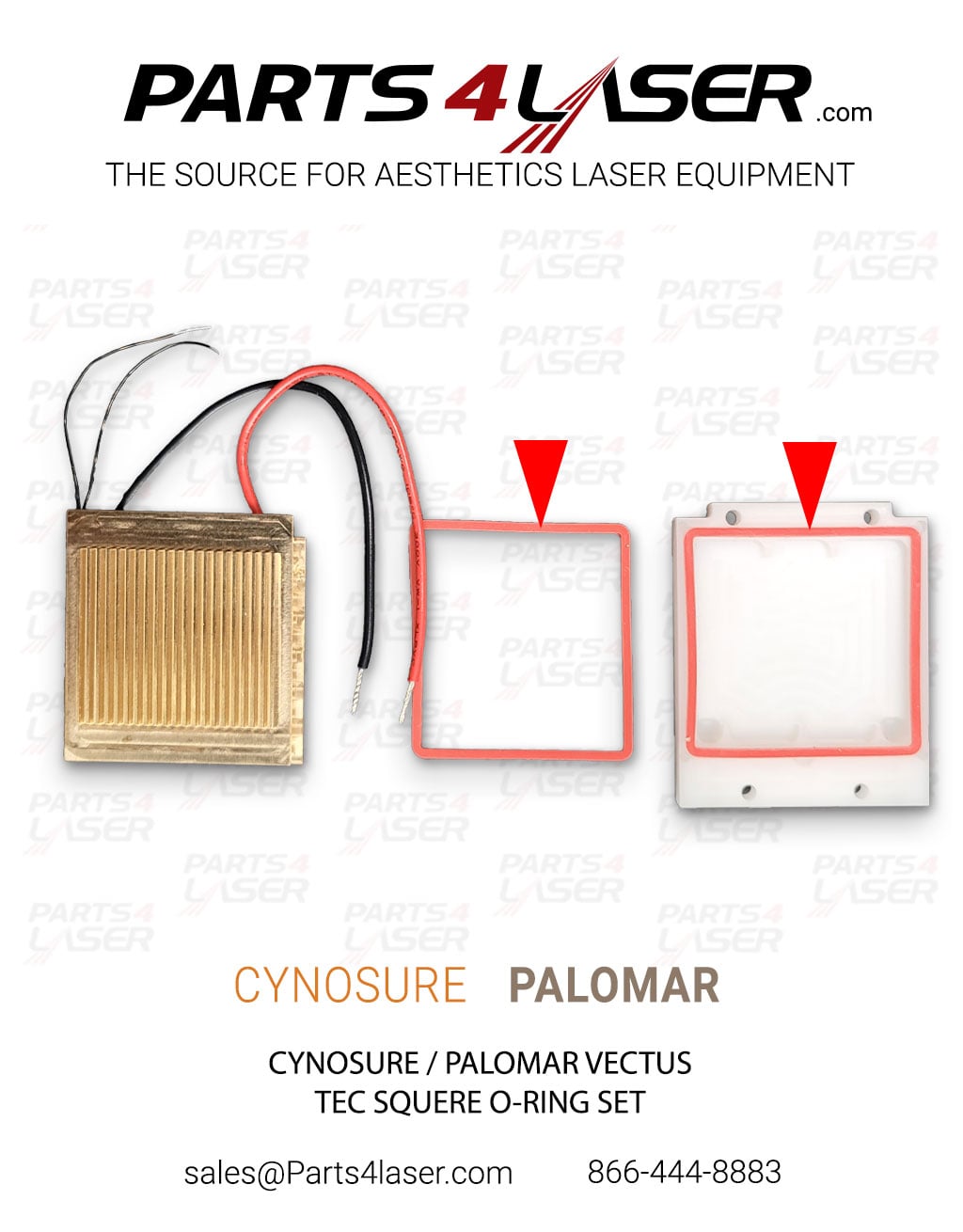 CYNOSURE / PALOMAR VECTUS TEC SQUERE O-RING SET CYCN3678 - Image 2